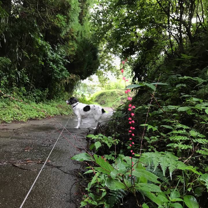 7c59097c 4979 4f1f 9048 4f72caaf5ff8