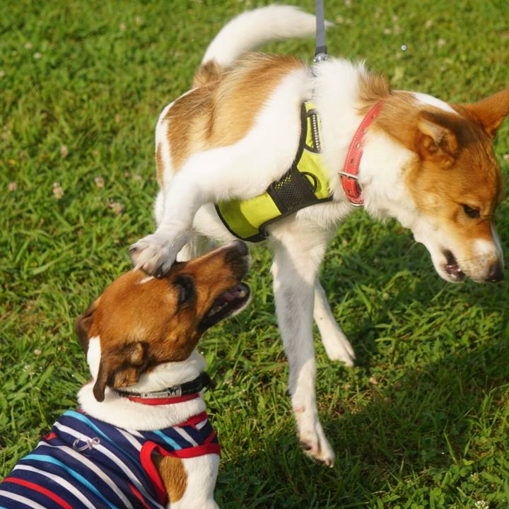 7c5915be 9ea4 48f8 90a5 ec06516165a9