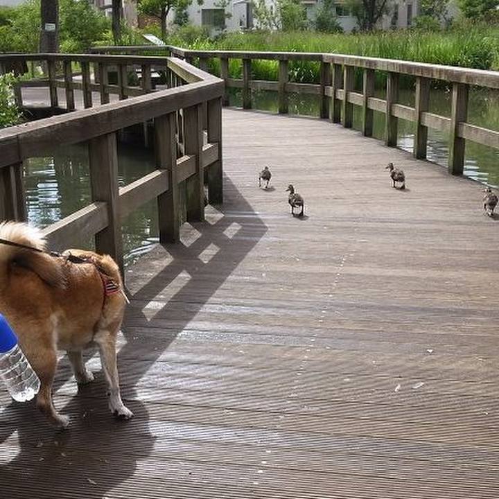 7c59c15a 6d55 4f4a a383 45386e04589d