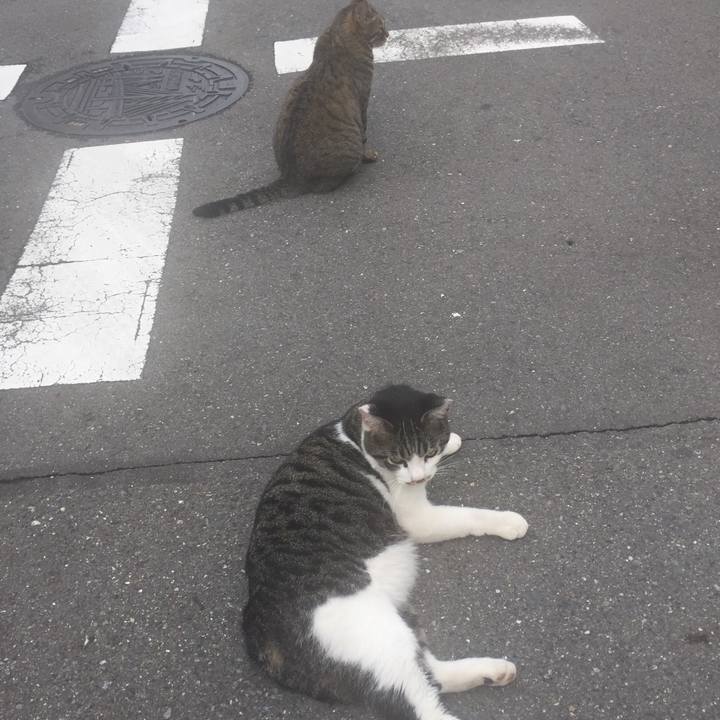 7c5a4e12 8a17 4a56 b94e 48b080fed170