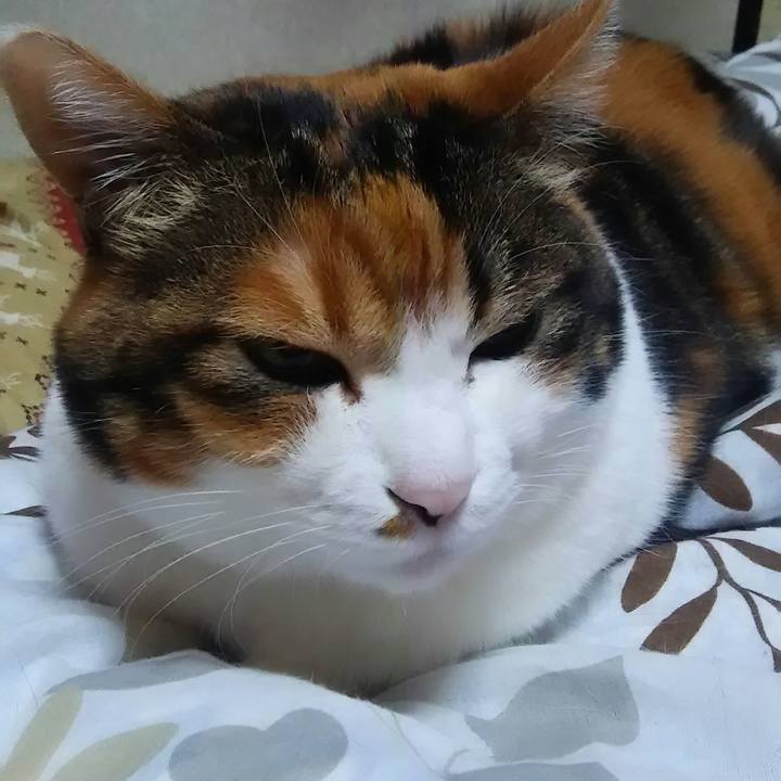 7c5a5276 80d5 4953 90a5 a185d670d402