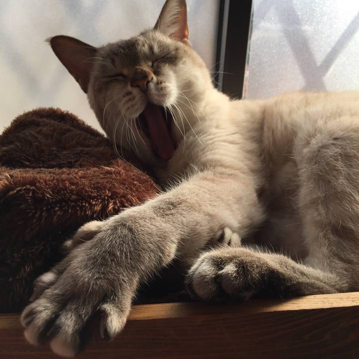 7c5a9dc2 70d8 4b36 849f 7a6161884b07