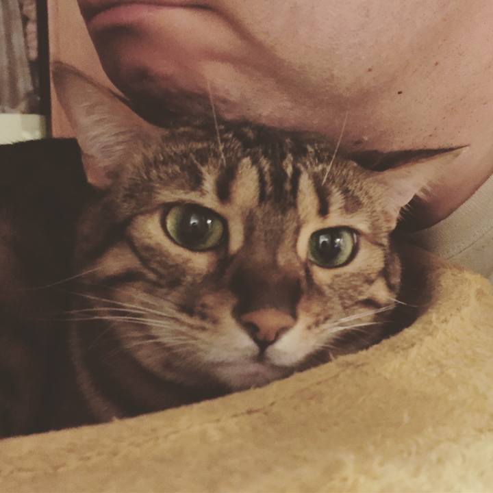 7c5ab4d8 4cf4 40a9 a076 e53481826fea