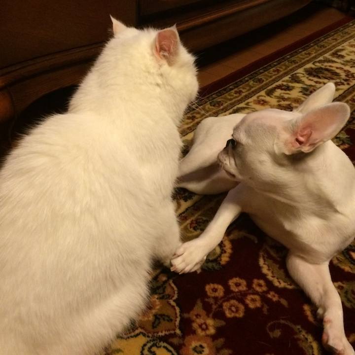 7c5b6a14 1a2c 4b95 bfcd f4f2c55f1fcf