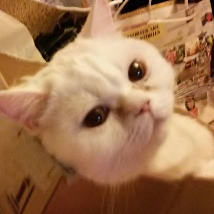 7c5bb093 965b 439b 9d17 6af08ee9d1ae