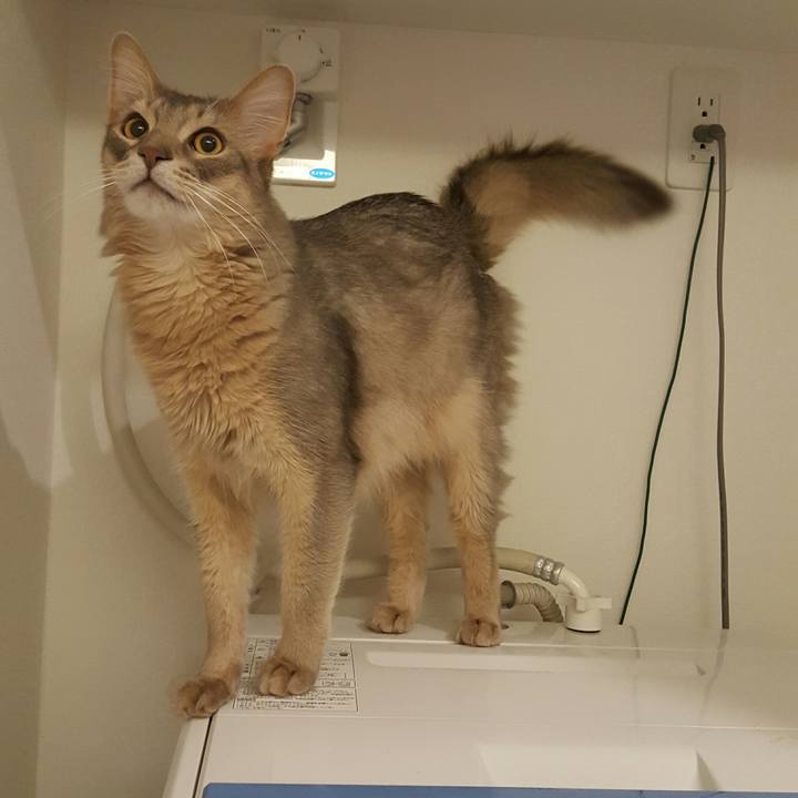 7c5d33d7 6709 47d0 b665 b18733d4da66