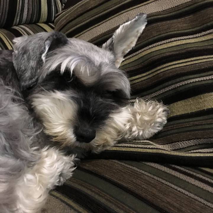 7c5db0eb ca66 4832 a776 3d58f9f903f1