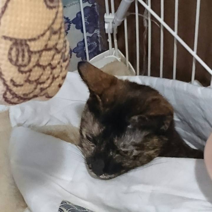 7c5dd1da 4e4e 49bf bfca 0c38973ea6f9