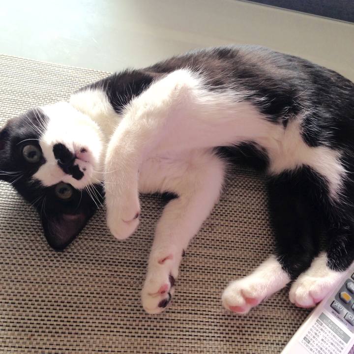 7c5e5159 b5ea 4c5a 9573 31895bdc77f0