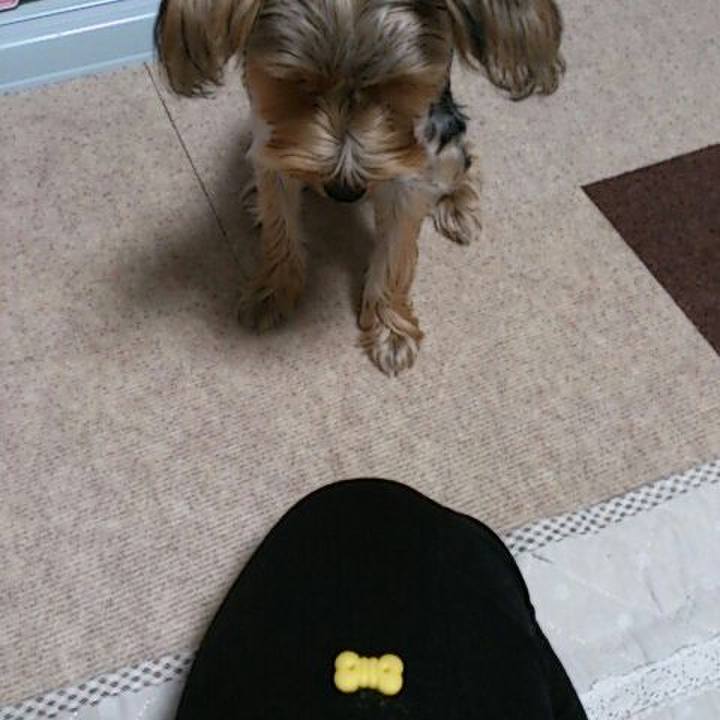 7c5e6a27 1646 4313 aa72 c9f429d0b07c