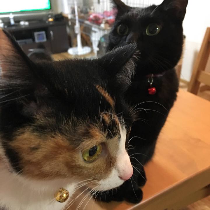 7c5e9a73 3e0e 4917 9312 951916261411