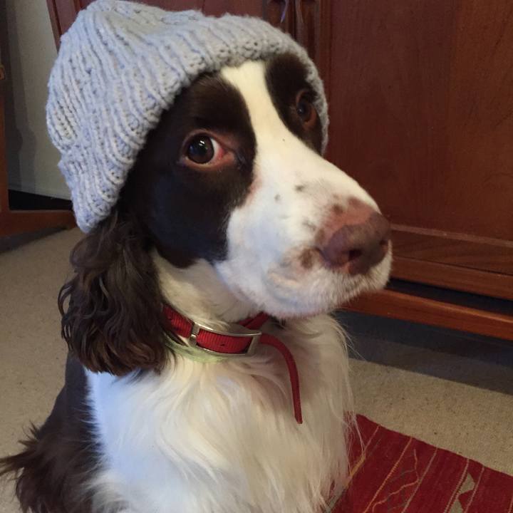 7c5ee7d2 53c6 4eff 9c51 f1e33530f198