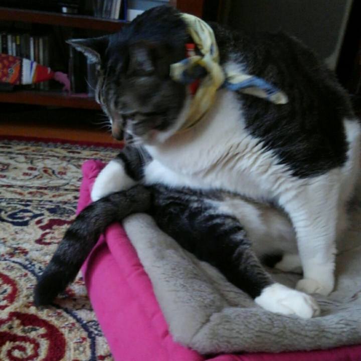 7c5f4faf 54fa 4c39 a07b 9ef70acc9071