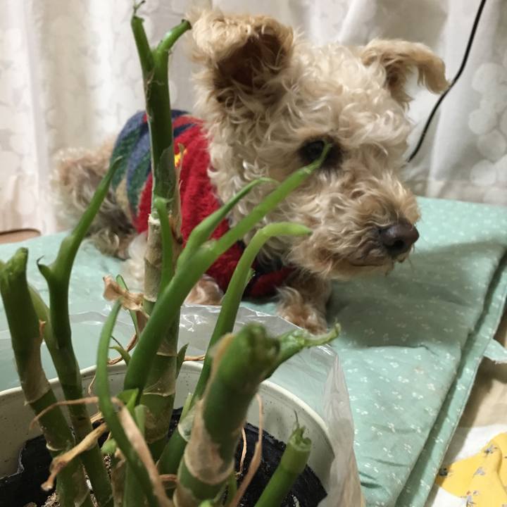 7c60a2f2 43ce 4fb5 b23f ee71f0f5ebef