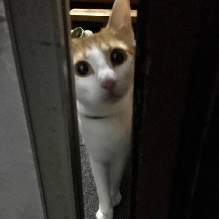 7c60e823 38bb 4f48 ad87 dc7802d544e2