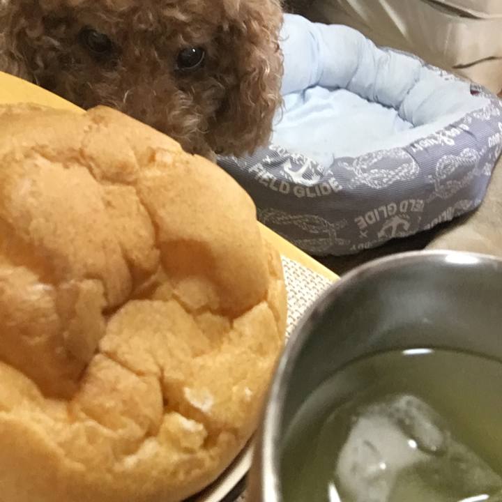 7c614a53 31f9 4fdf 8485 59b91f74e8f0