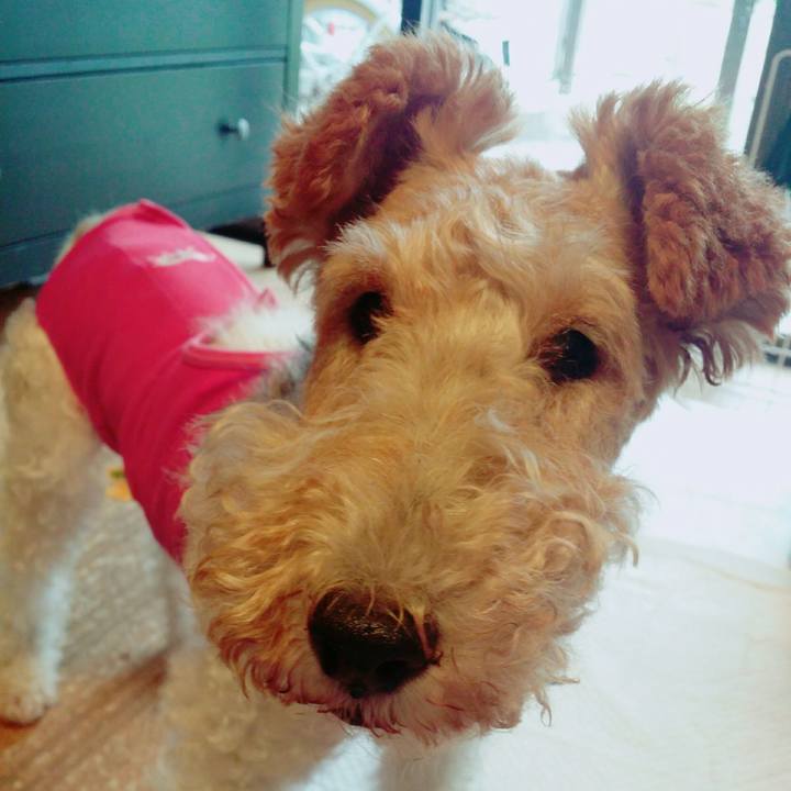 7c615850 7d6c 4f5e b9e7 60b172947af1