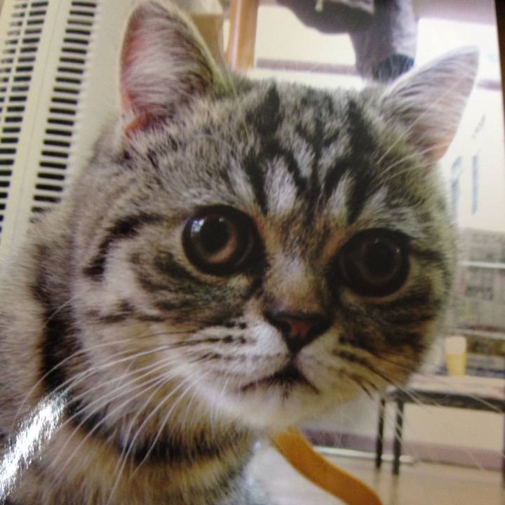 7c61a931 1940 4886 bd7f 589cef02f0a4