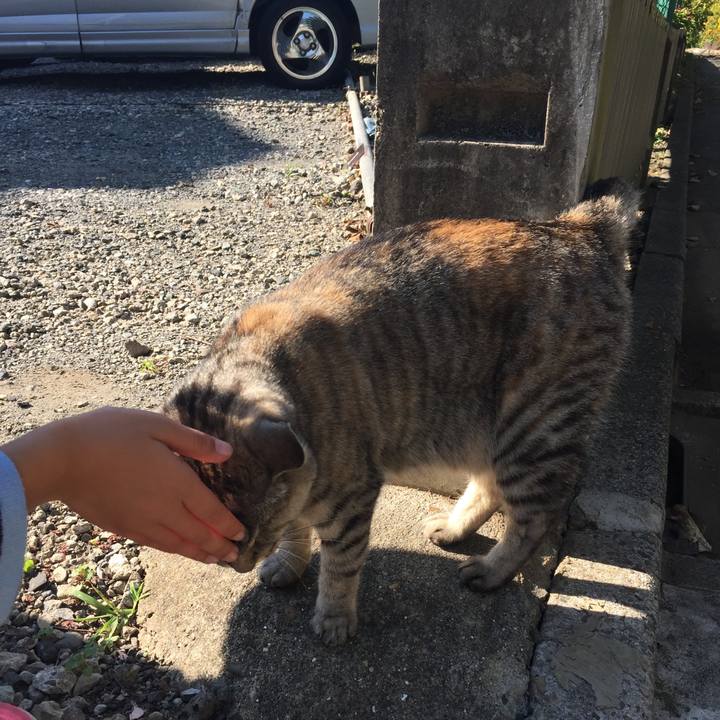 7c61eadd 4aa9 47d3 a19e 5b8dfcae812f