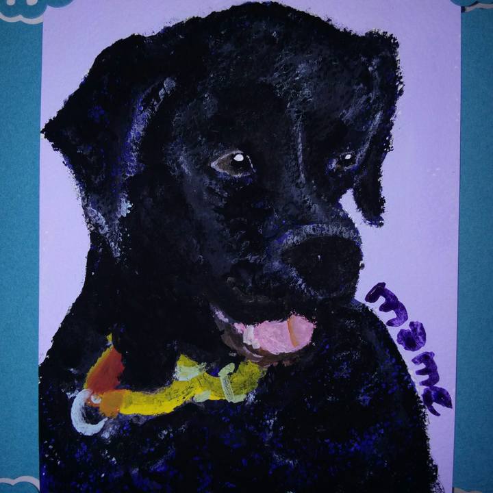 7c634ca3 c76a 4159 a621 e2567c5b1016