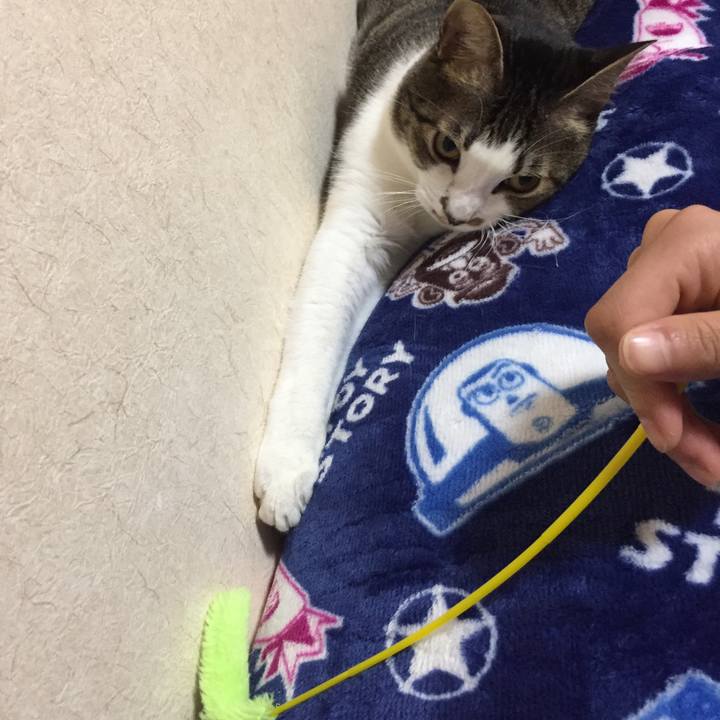 7c6377fb 7402 402e b22f 0953c68d66ec