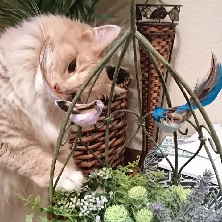 7c63ef64 cb45 4951 bea8 00d693d250bf