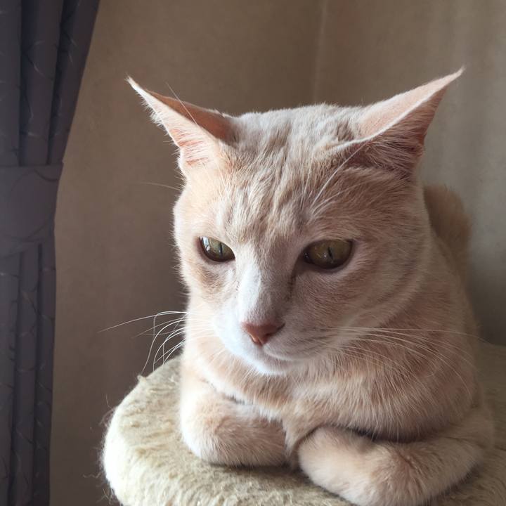 7c645c23 9bad 46fb ab30 0c5623d7e89d