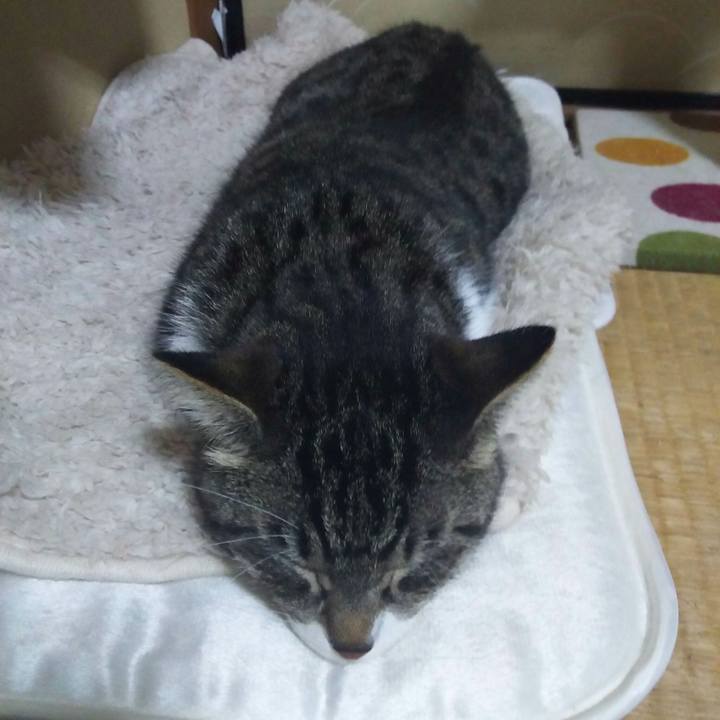 7c64d0a2 9556 43c0 b9c4 96ce99ef1b36