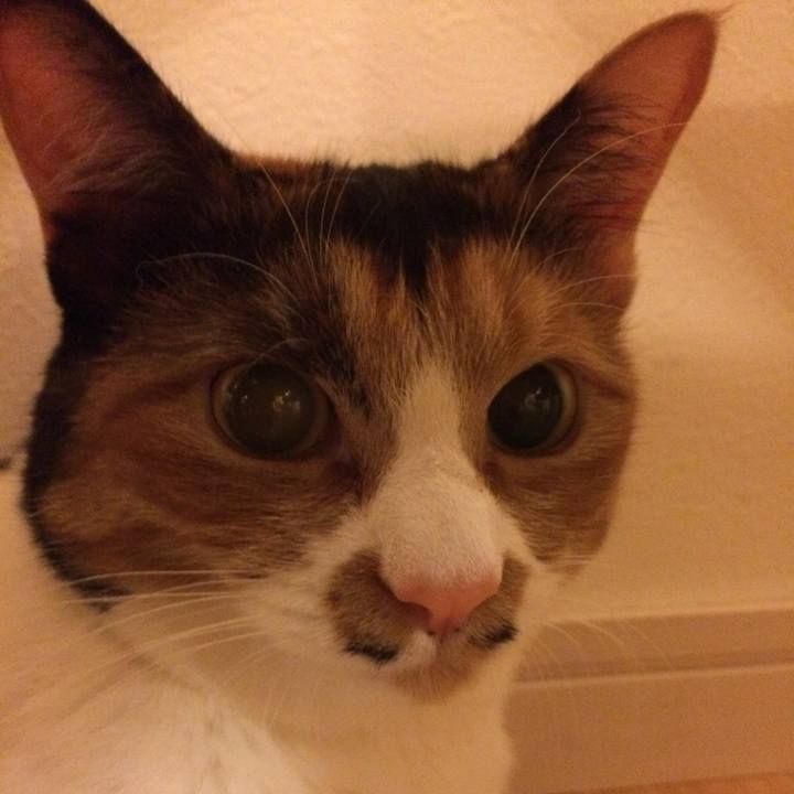 7c64dbf5 9612 4ebd 8cf6 0049f65edebc