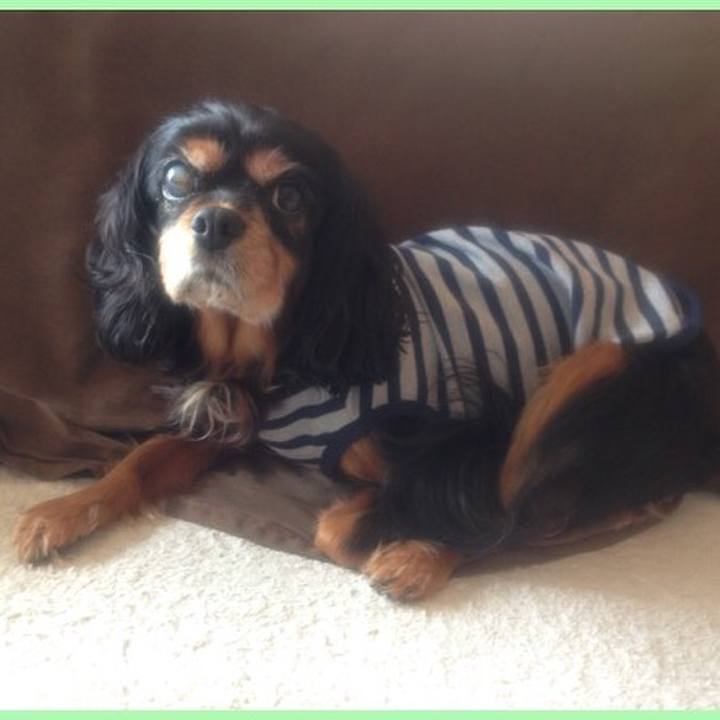 7c64eda9 1c82 493e 99ea 84f42dad1066