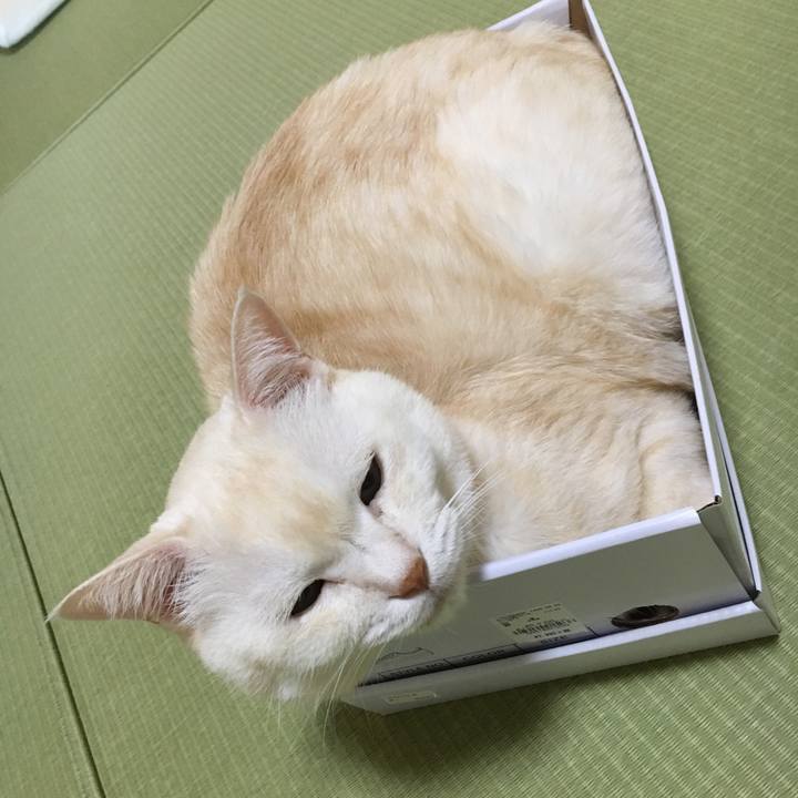 7c64f391 3ff8 4002 96c6 895c56d4804c