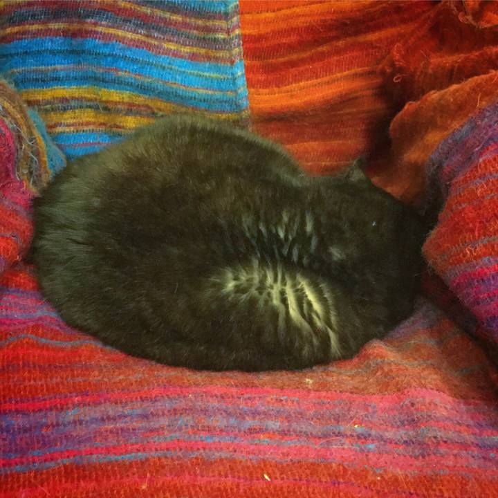 7c6522ee 8844 422a bded c3c316540c1b