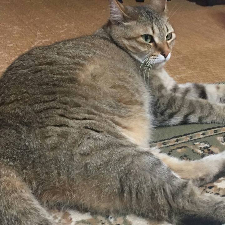 7c656a43 bf92 49d8 b795 0ff18d80ebc0