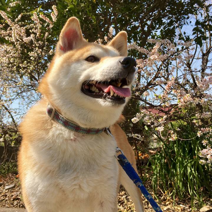 7c65d24b ded2 4943 8d7c 2108e0adb308