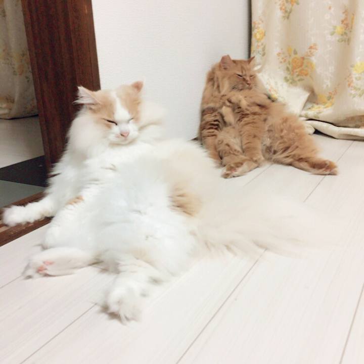 7c661d43 e909 4529 aaba abc438f34ba8