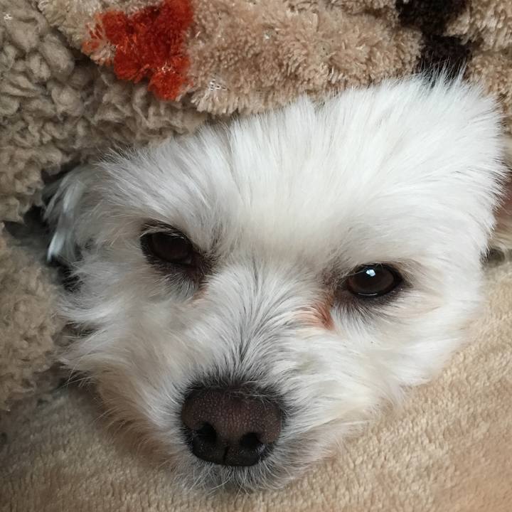 7c6641a9 95ac 49ab 8b02 23fb8d34d0ef