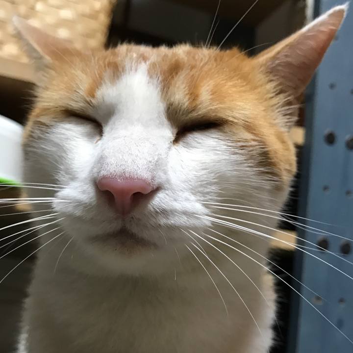 7c667eab 8227 41a2 b656 62e084ac16b1