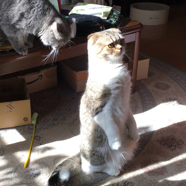 7c669031 5a2a 47dc aa20 8c1ee67f9225