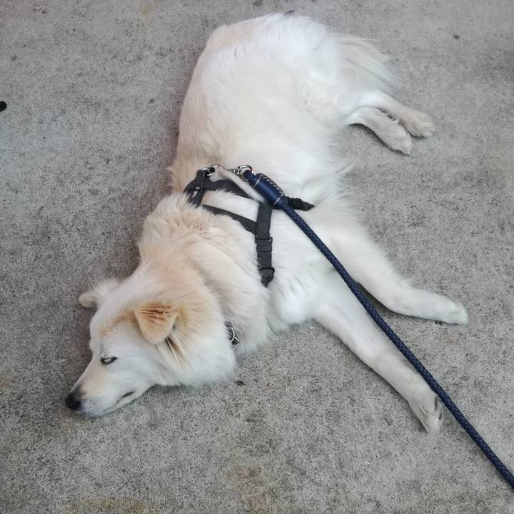 7c66a900 bde1 4ef1 8ed4 c8debd798c5d