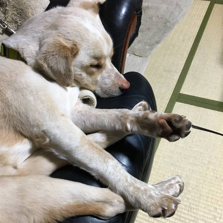 7c66d51c 3cd2 44d8 9e68 7289a824af40