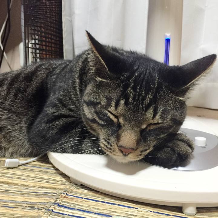 7c66fbbe e4c0 45be 97c7 c6844b860ad9