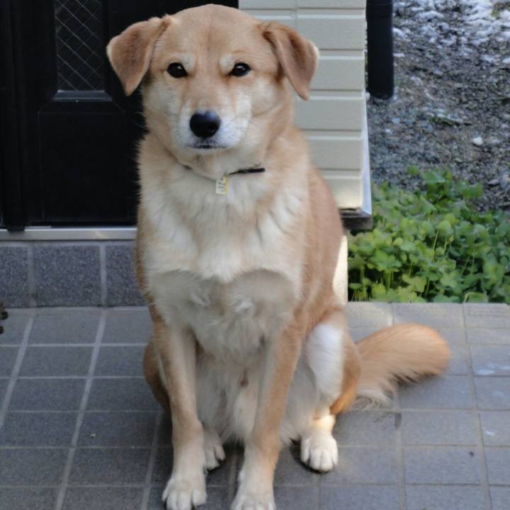 7c66fc53 3728 479e ac40 156d10a4befb