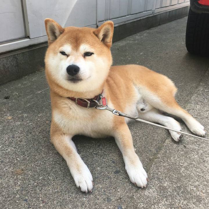 7c670c81 3e21 48db 9421 35cca90477a4