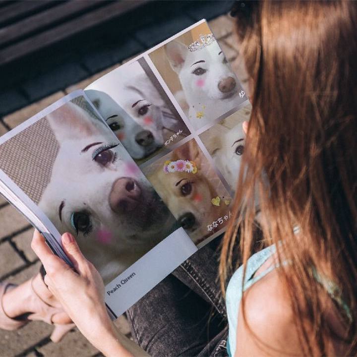 7c672d97 2f82 454e 8f53 83aa078c7644