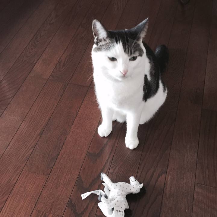 7c675ef6 0593 46ef 980a 54e998d92456