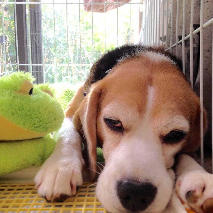 7c67b951 9407 48c3 b896 1fef8b4b3f5d