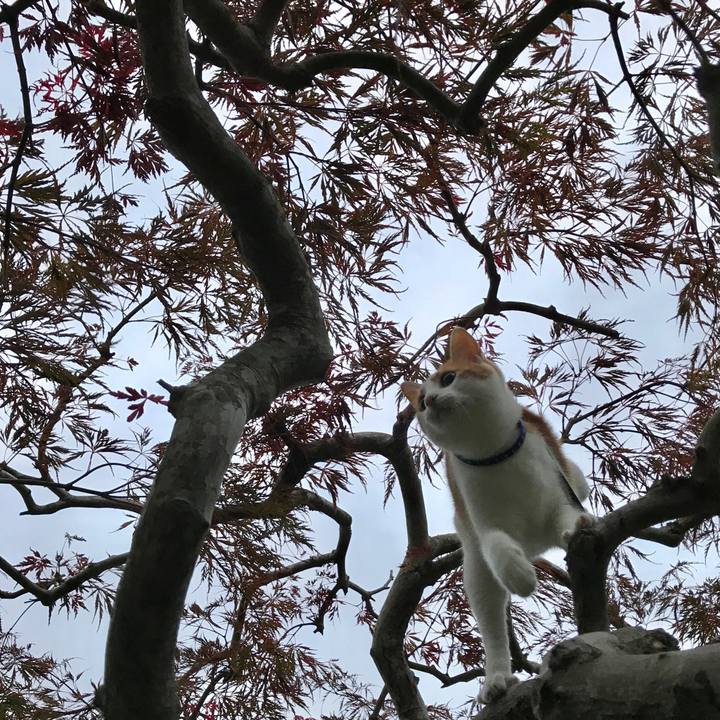 7c67c6a4 09c0 4c41 a198 c745f6694f82