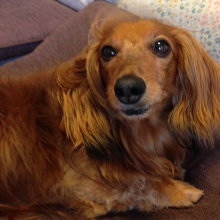 7c680469 6057 403c 8b8a d9e491bdb48d