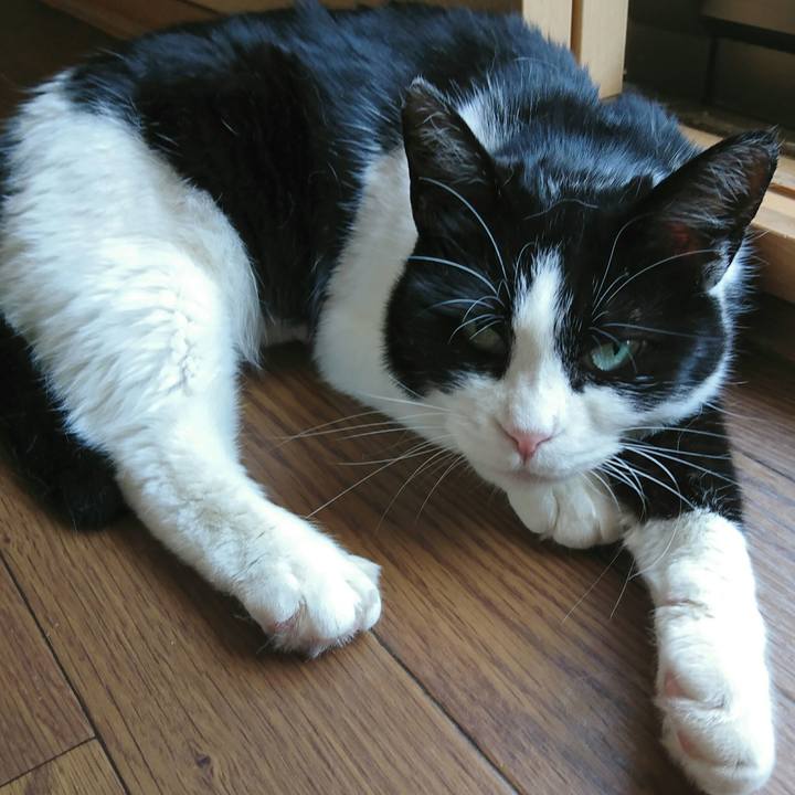 7c69892e 2de8 49b3 9f79 226846c54c13