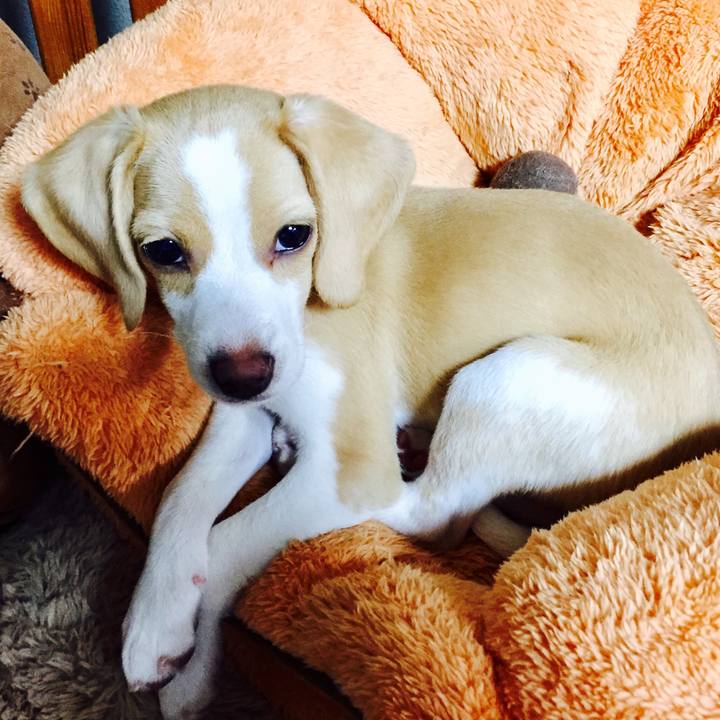 7c6a8989 547e 41d6 8f2b d390094e52b3